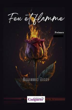 Feu et flamme Muhammad Barry