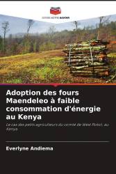 Adoption des fours Maendeleo à faible consommation d'énergie au Kenya