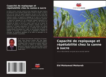 Capacité de repiquage et répétabilité chez la canne à sucre