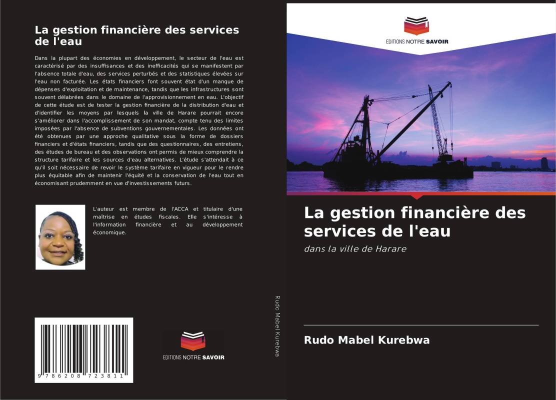 La gestion financière des services de l'eau
