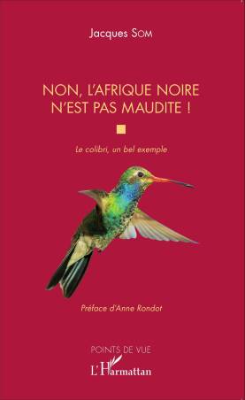 Non, l'Afrique noire n'est pas maudite