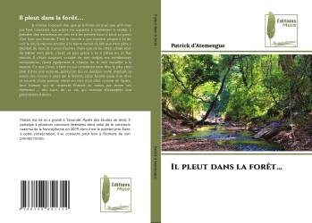 Il pleut dans la forêt…