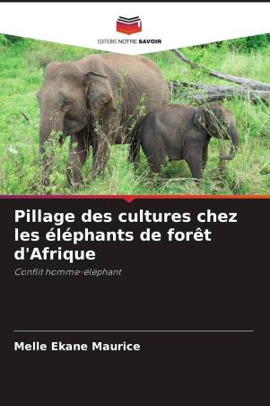 Pillage des cultures chez les éléphants de forêt d'Afrique