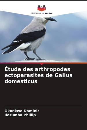 Étude des arthropodes ectoparasites de Gallus domesticus