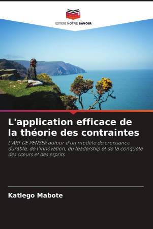 L'application efficace de la théorie des contraintes
