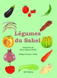 Légumes du sahel de Mbaye Babacar Diouf