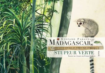 MADAGASCAR, STUPEUR VERTE, carnet d'un voyage en forêt équatoriale de Stefano Faravelli