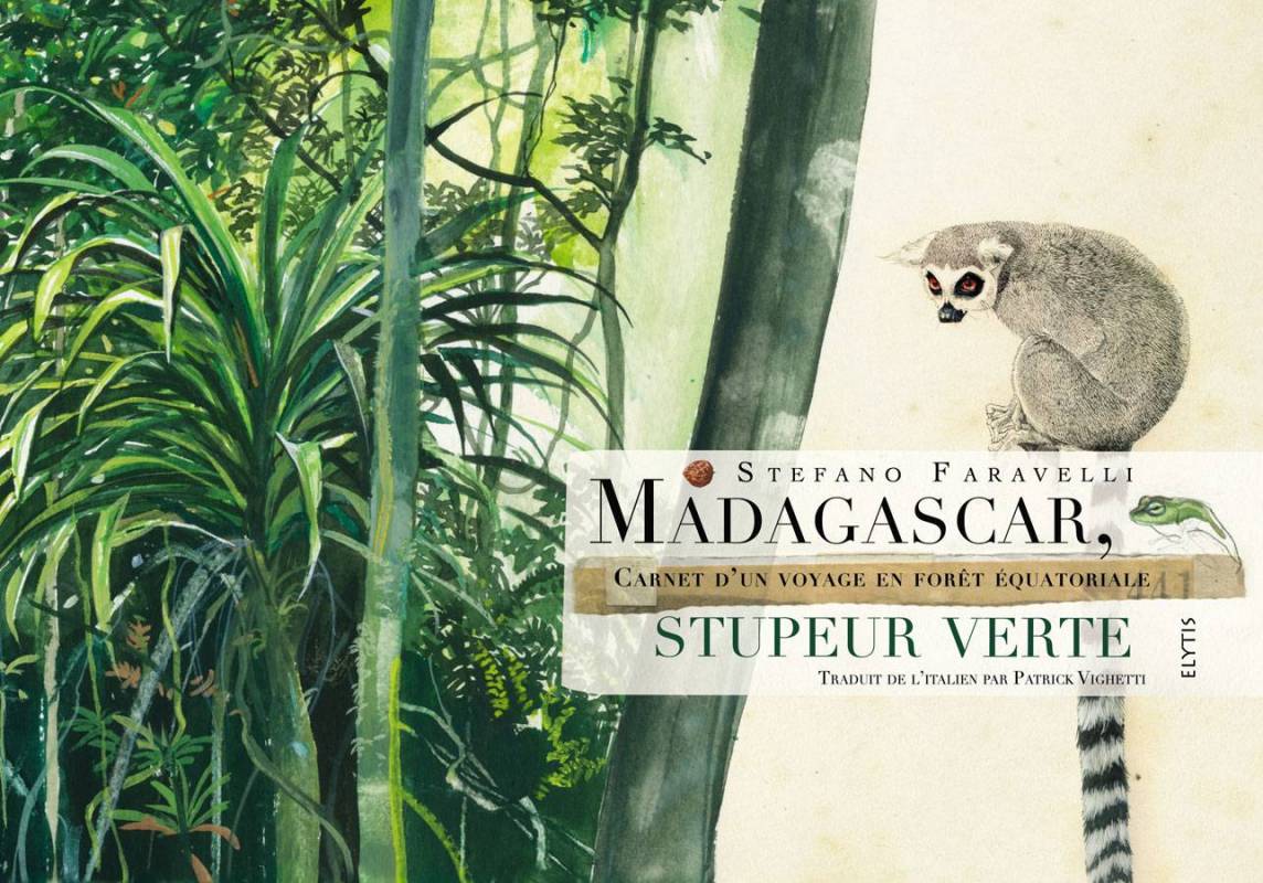MADAGASCAR, STUPEUR VERTE, carnet d'un voyage en forêt équatoriale