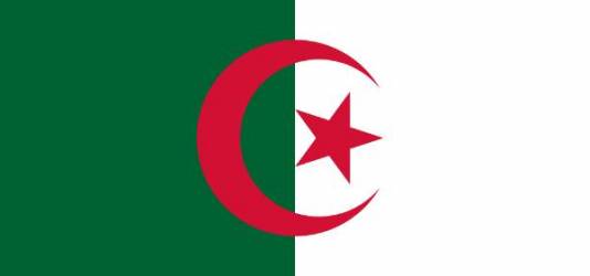 L'Algérie s'invite chez vous : livres algériens, films algériens...